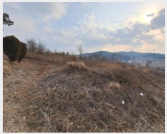  2025Ÿ261 泲  ۾  161-3      (Ӿ)