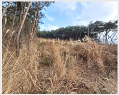  2025Ÿ261 泲  ۾  161-3      (Ӿ)