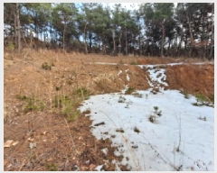  2025Ÿ261 泲  ۾  161-3      (Ӿ)