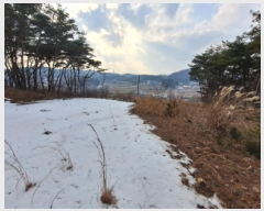  2025Ÿ261 泲  ۾  161-3      (Ӿ)