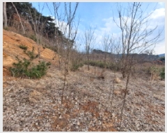  2025Ÿ261 泲  ۾  161-3      (Ӿ)