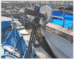  2025Ÿ��503 ��õ�� ȫ����         ���ڰ��