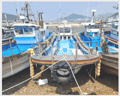  2025Ÿ��503 ��õ�� ȫ����         ���ڰ��