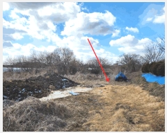  2025Ÿ��511 �泲 ������ ����� �μ��� 367      ����(��1)���