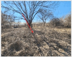  2025Ÿ��511 �泲 ������ ����� �μ��� 367      ����(��1)���