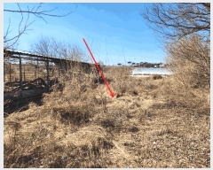  2025Ÿ��511 �泲 ������ ����� �μ��� 367      ����(��1)���