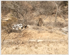  2025Ÿ��532  �����