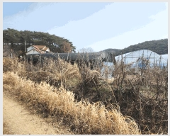  2025Ÿ��532  �����