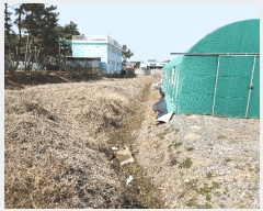  2025Ÿ��532  �����