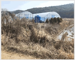  2025Ÿ��532  �����