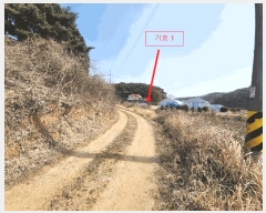  2025Ÿ��532  �����