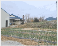  2025Ÿ570 泲  ۾ ︮ 413-2      (Ӿ)