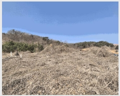  2025Ÿ��576 �泲 ������ ������ ������ 201-7      ����,â�����