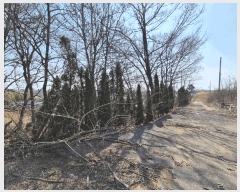  2025Ÿ��576 �泲 ������ ������ ������ 201-7      ����,â�����