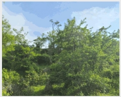  2025Ÿ��619  �Ӿ߰��