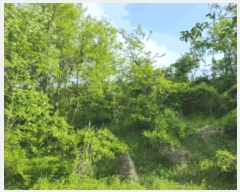  2025Ÿ��619  �Ӿ߰��