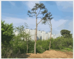  2025Ÿ��619  �Ӿ߰��