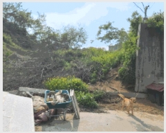  2025Ÿ��619  �Ӿ߰��