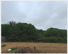  2025Ÿ629 泲   ȣ 580-2      (1)