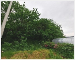  2025Ÿ629 泲   ȣ 580-2      (1)