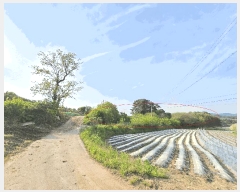  2025Ÿ��637 �泲 ����� ����� ��丮 402-8      ����(��1)���