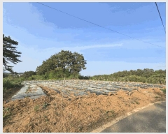  2025Ÿ��637 �泲 ����� ����� ��丮 402-8      ����(��1)���