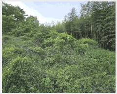  2025Ÿ��637 �泲 ����� ����� ��丮 402-8      ����(��1)���