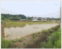  2025Ÿ659 泲    249-15      (1)