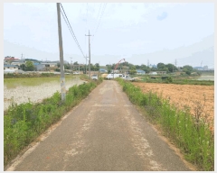  2025Ÿ659 泲    249-15      (1)