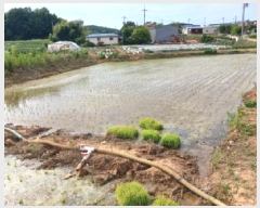  2025Ÿ659 泲    249-15      (1)