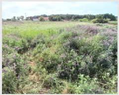  2025Ÿ659 泲    249-15      (1)