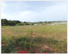  2025Ÿ659 泲    249-15      (1)