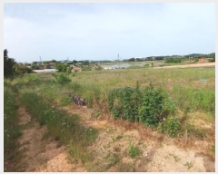  2025Ÿ659 泲    249-15      (1)