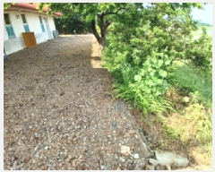  2025Ÿ659 泲    249-15      (1)