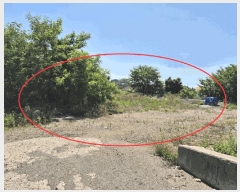  2025Ÿ��671  �������