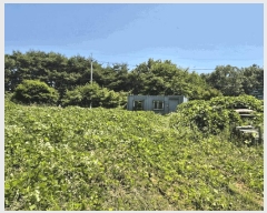  2025Ÿ��671  �������