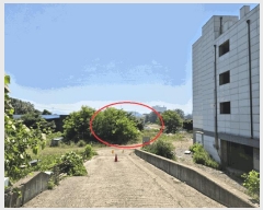  2025Ÿ��671  �������