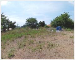  2025Ÿ��671  �������