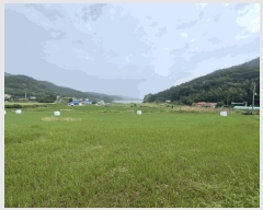  2025Ÿ��697 �泲 �¾ȱ� �ҿ��� ������ 127-1      ����(��1)���