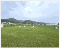  2025Ÿ��697 �泲 �¾ȱ� �ҿ��� ������ 127-1      ����(��1)���