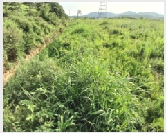  2025Ÿ��719 �泲 ������ ���̸� ���긮 269      ����(��)���