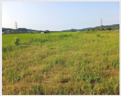  2025Ÿ��719 �泲 ������ ���̸� ���긮 269      ����(��)���