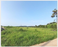  2025Ÿ��719 �泲 ������ ���̸� ���긮 269      ����(��)���