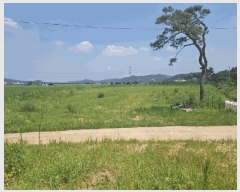  2025Ÿ��719 �泲 ������ ���̸� ���긮 269      ����(��)���