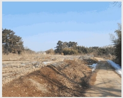  2025Ÿ50112 泲  ۾  154-155      (Ӿ)