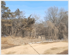  2025Ÿ50112 泲  ۾  154-155      (Ӿ)