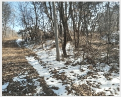  2025Ÿ50112 泲  ۾  154-155      (Ӿ)