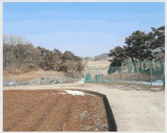  2025Ÿ50112 泲  ۾  154-155      (Ӿ)