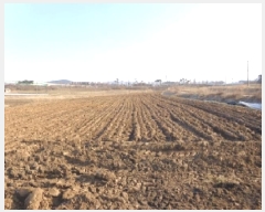  2025Ÿ50198 泲 ¾ȱ ¾ õ 735-7      (Ӿ)