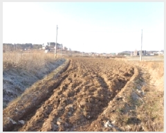  2025Ÿ50198 泲 ¾ȱ ¾ õ 735-7      (Ӿ)